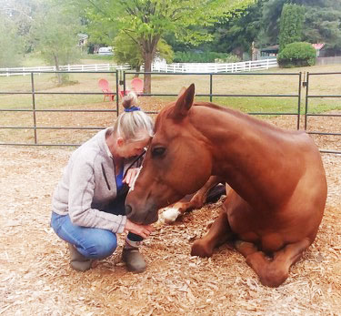Facilitated Equine Experiential Learning ("FEEL") Facilitated Equine Experiential Learning ("FEEL")